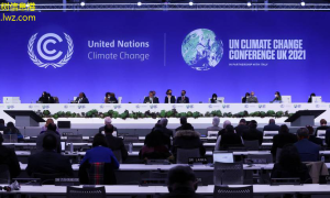 全球气候变化峰会：国际合作新动向，共同应对环境挑战