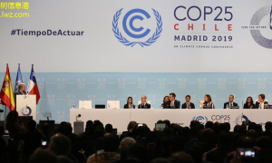 全球气候变化峰会：国际合作与未来挑战