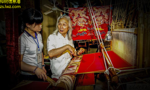 《探寻非遗之美：传统刺绣工艺在当代的焕新之路》